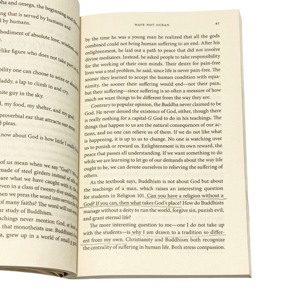 Holy Envy by Barbara Brown Taylor – Paperback Book (Used, Good Condition) - Picture 4 of 4